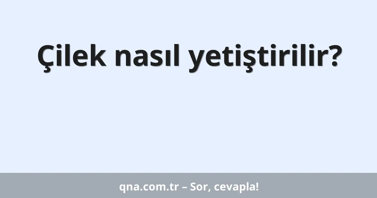 Çilek nasıl yetiştirilir?