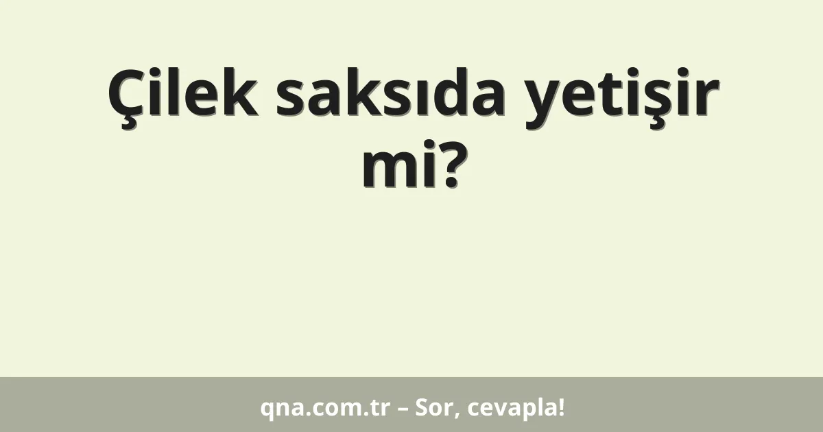 Çilek saksıda yetişir mi?