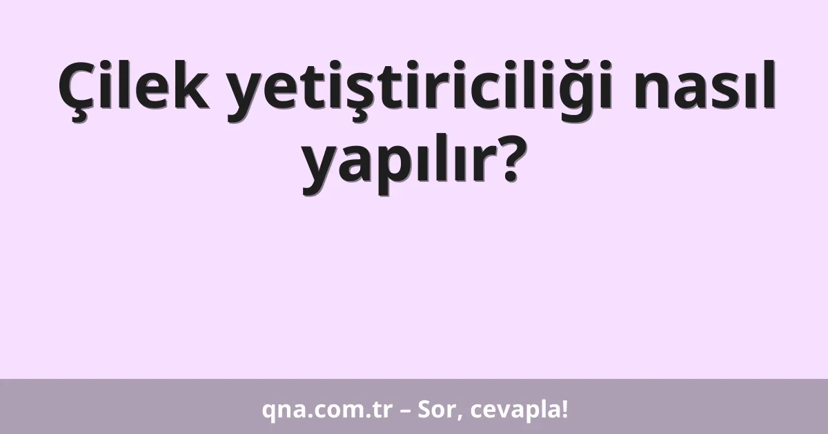 Çilek yetiştiriciliği nasıl yapılır?