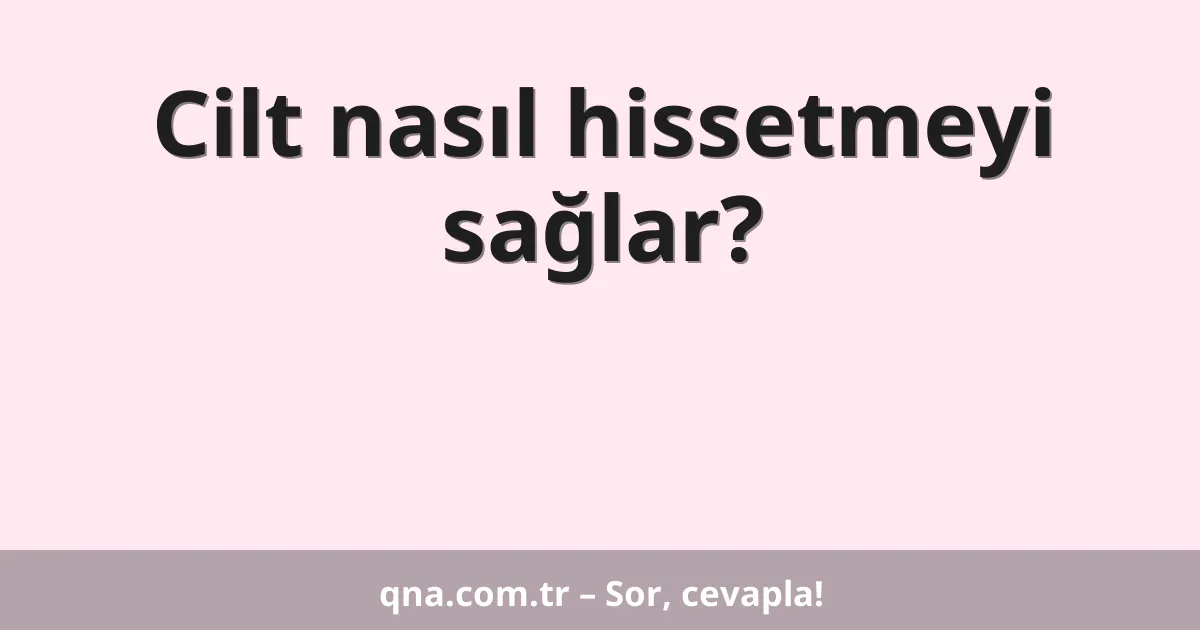 Cilt nasıl hissetmeyi sağlar?