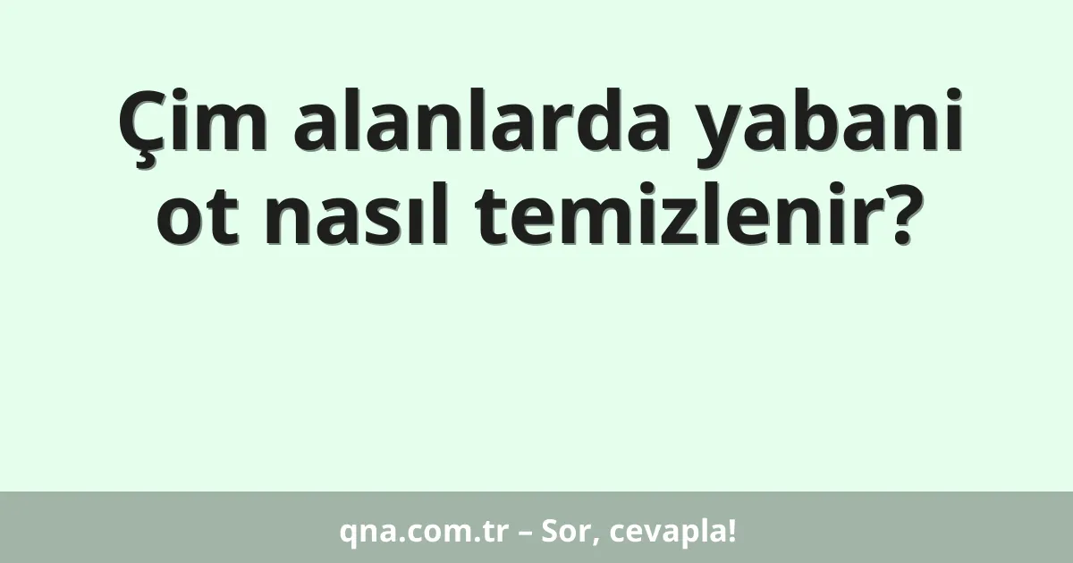 Çim alanlarda yabani ot nasıl temizlenir?