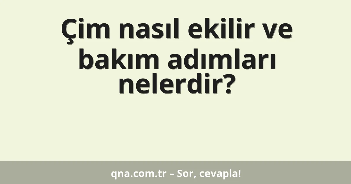 Çim nasıl ekilir ve bakım adımları nelerdir?