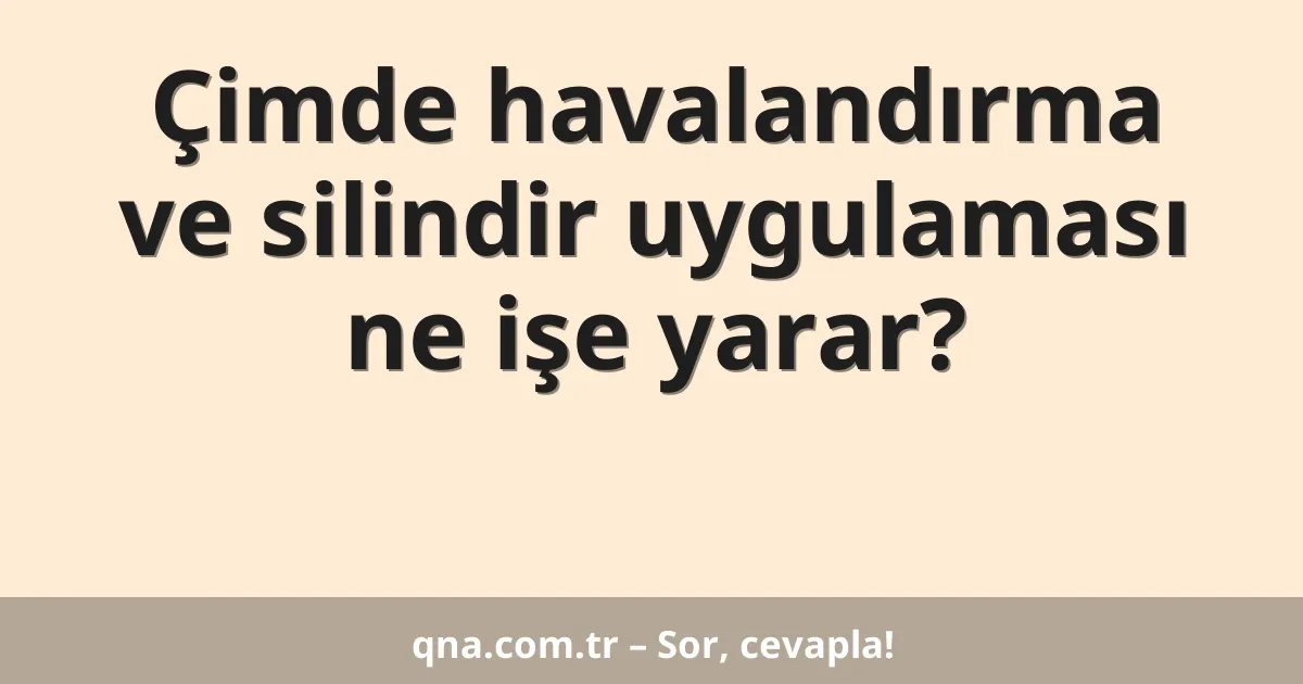 Çimde havalandırma ve silindir uygulaması ne işe yarar?