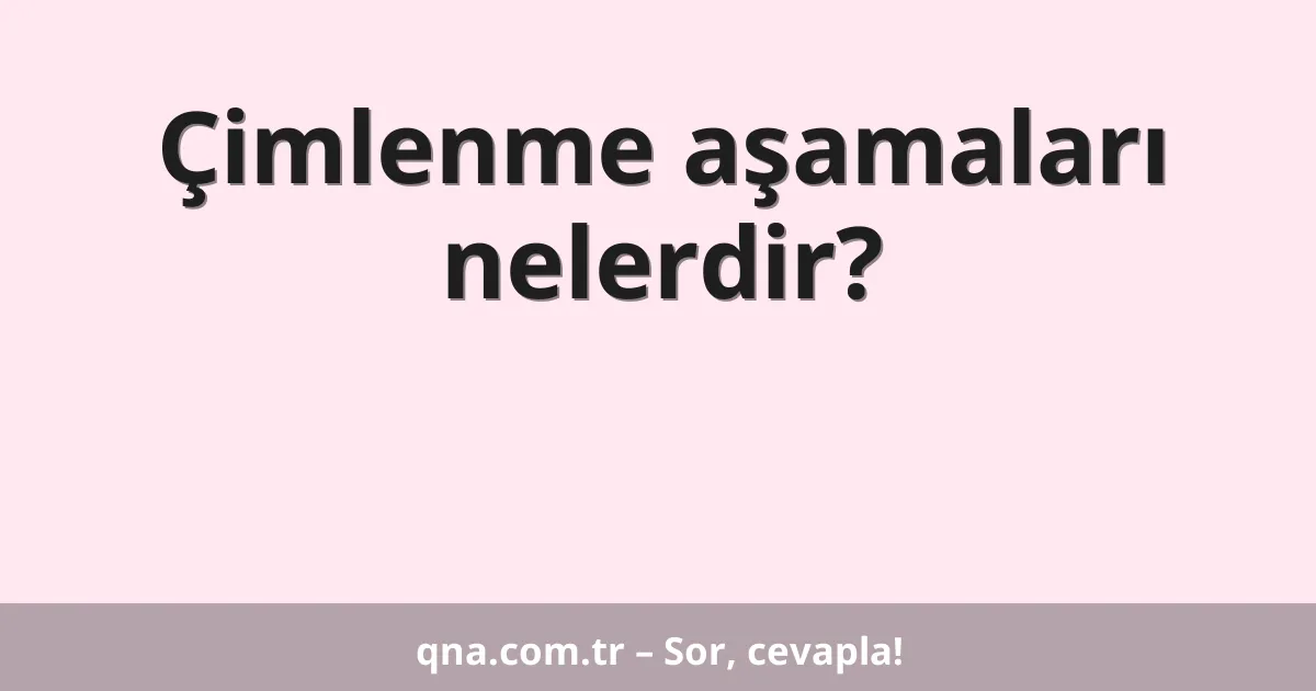 Çimlenme aşamaları nelerdir?