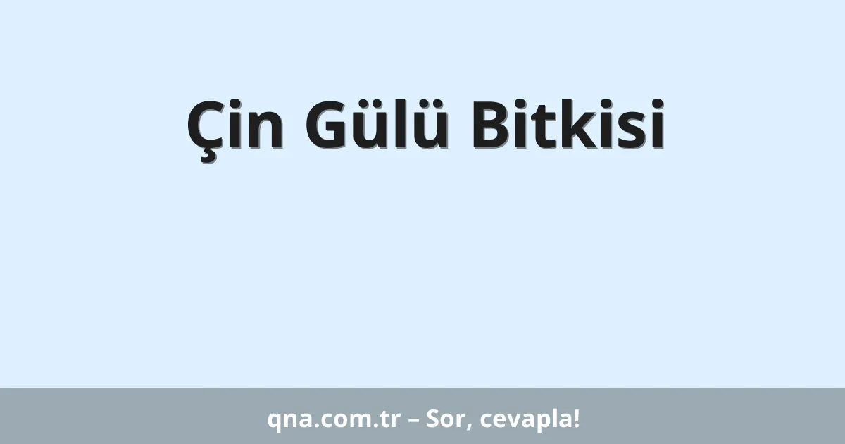 Çin Gülü Bitkisi