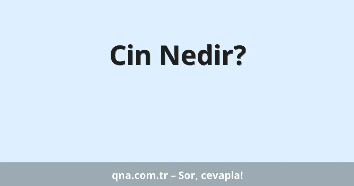 Cin Nedir?