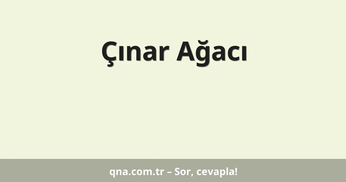Çınar Ağacı