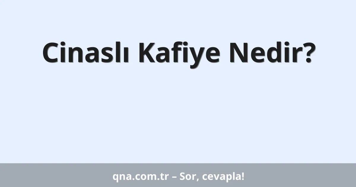 Cinaslı Kafiye Nedir?