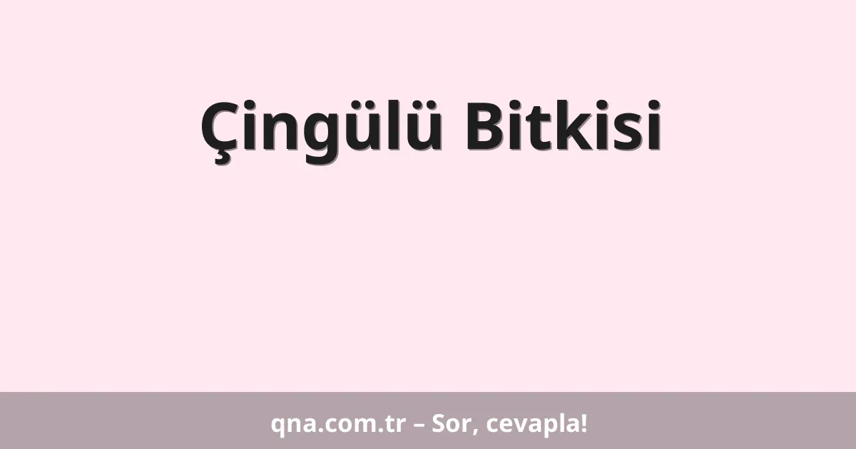 Çingülü Bitkisi