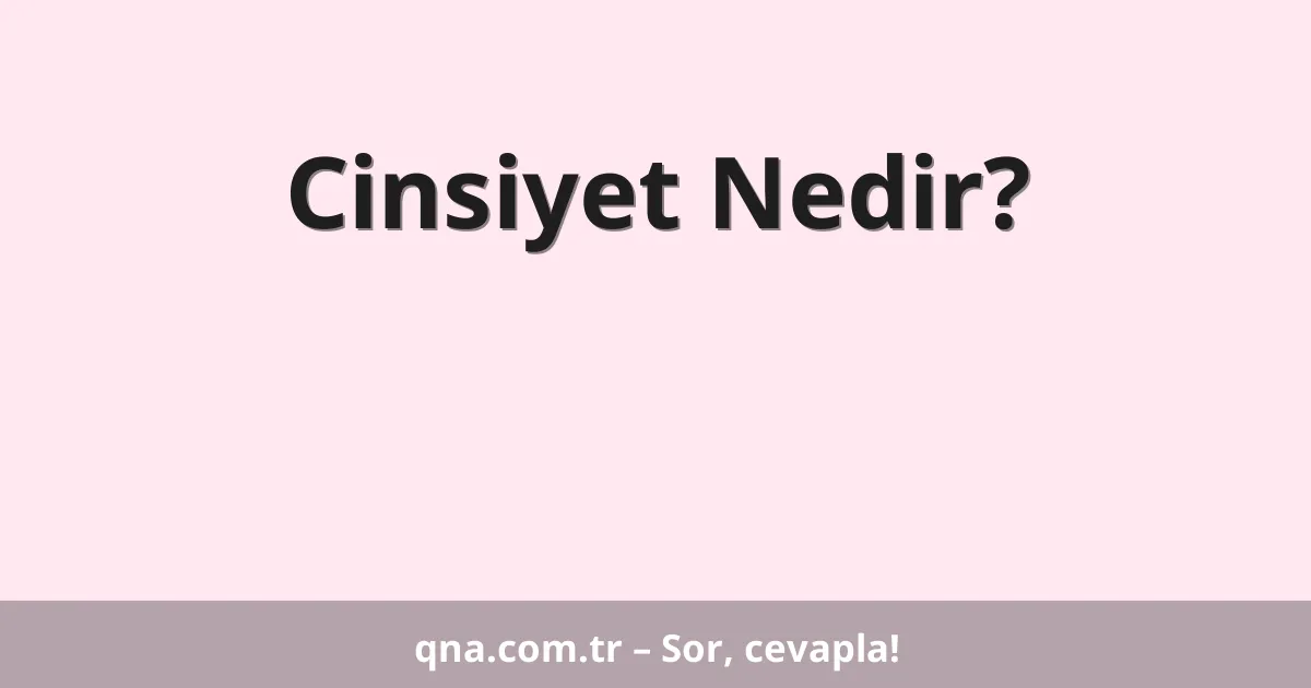 Cinsiyet Nedir?