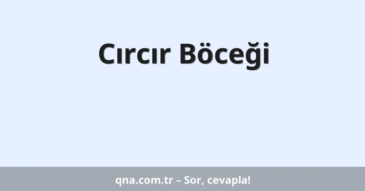 Cırcır Böceği