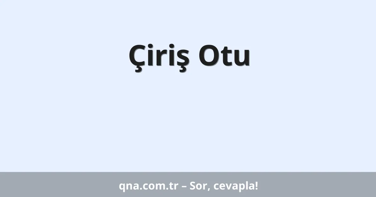 Çiriş Otu