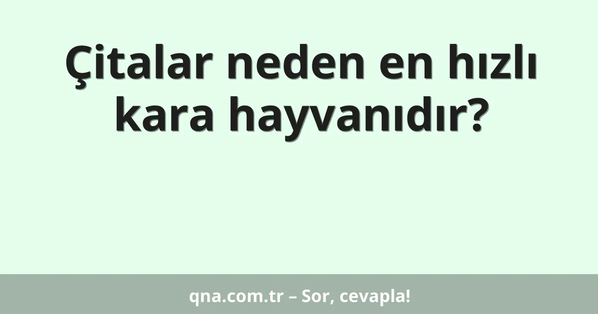 Çitalar neden en hızlı kara hayvanıdır?