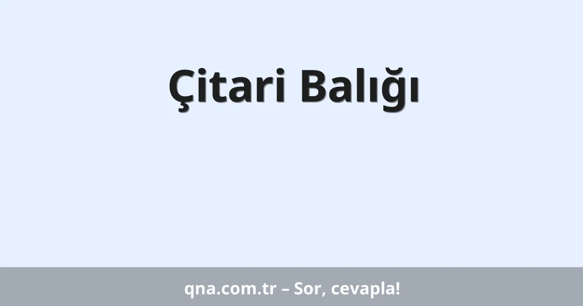 Çitari Balığı