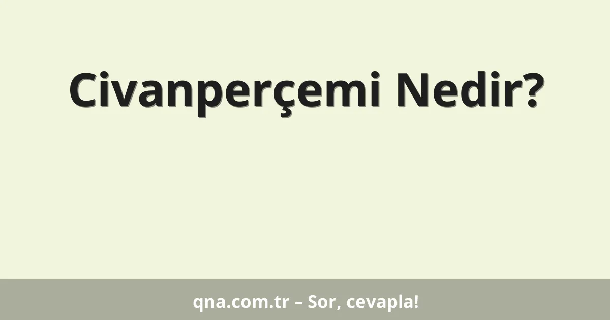 Civanperçemi Nedir?