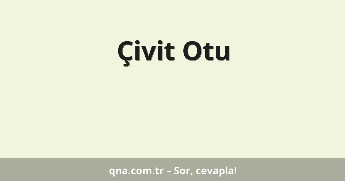 Çivit Otu