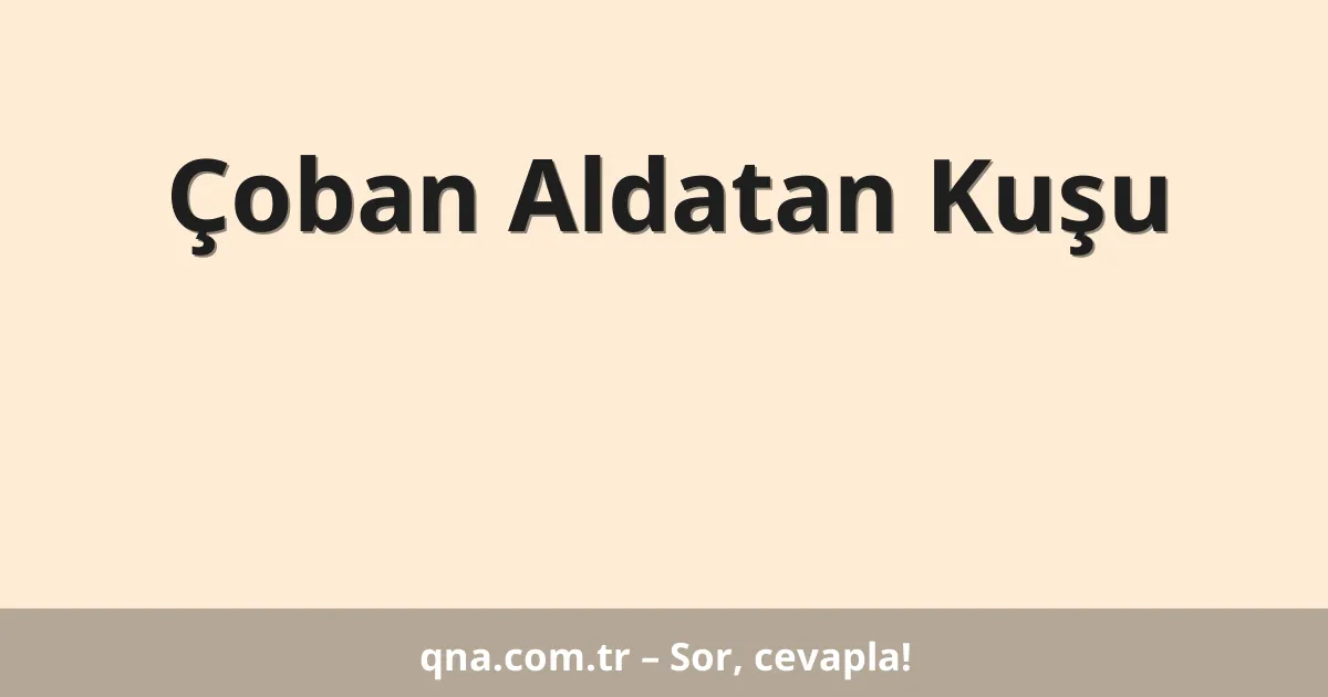 Çoban Aldatan Kuşu