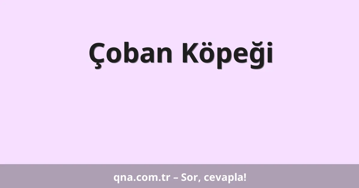 Çoban Köpeği