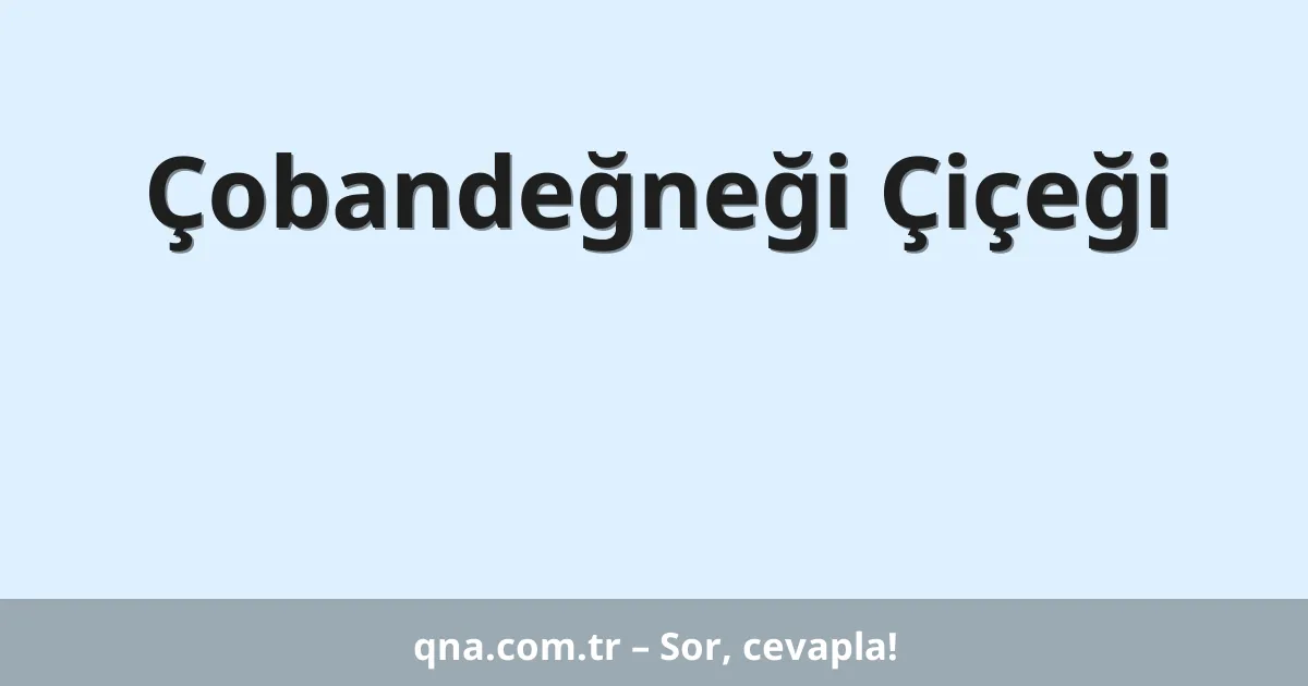 Çobandeğneği Çiçeği