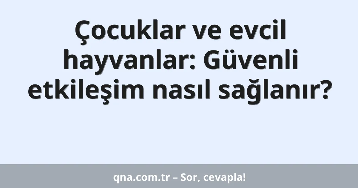 Çocuklar ve evcil hayvanlar: Güvenli etkileşim nasıl sağlanır?