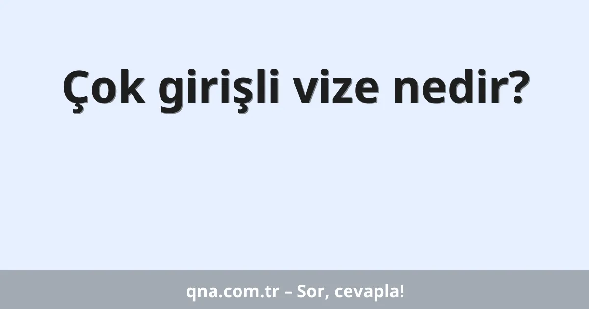 Çok girişli vize nedir?