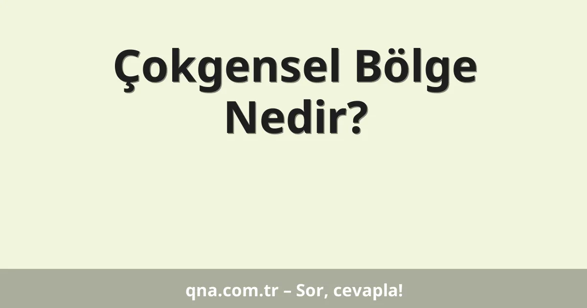 Çokgensel Bölge Nedir?