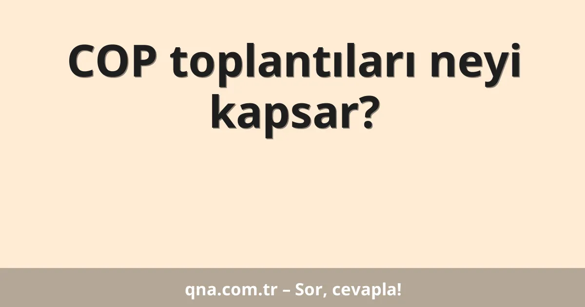 COP toplantıları neyi kapsar?