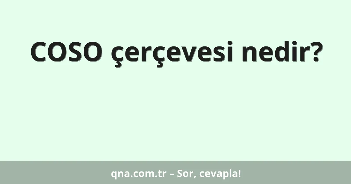 COSO çerçevesi nedir?