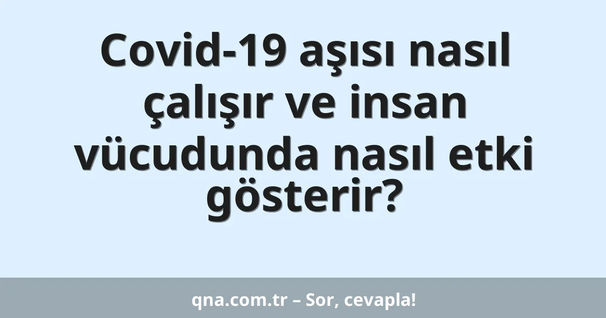 Covid-19 aşısı nasıl çalışır ve insan vücudunda nasıl etki gösterir?