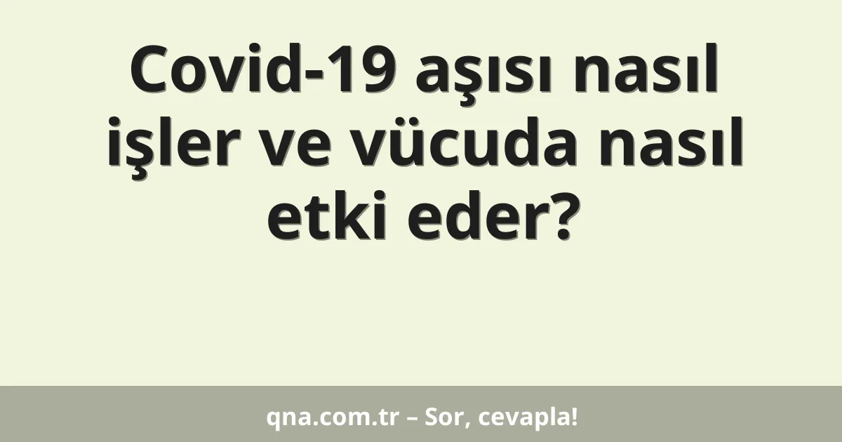 Covid-19 aşısı nasıl işler ve vücuda nasıl etki eder?