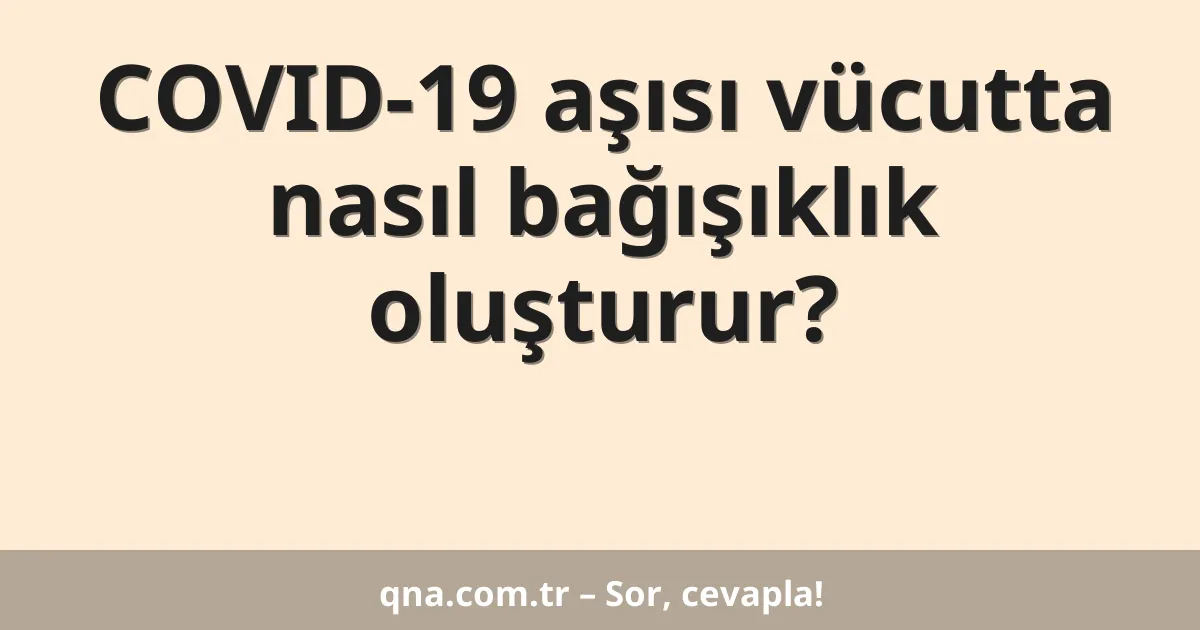 COVID-19 aşısı vücutta nasıl bağışıklık oluşturur?