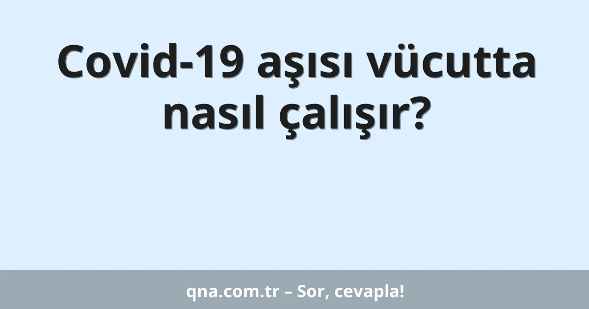 Covid-19 aşısı vücutta nasıl çalışır?