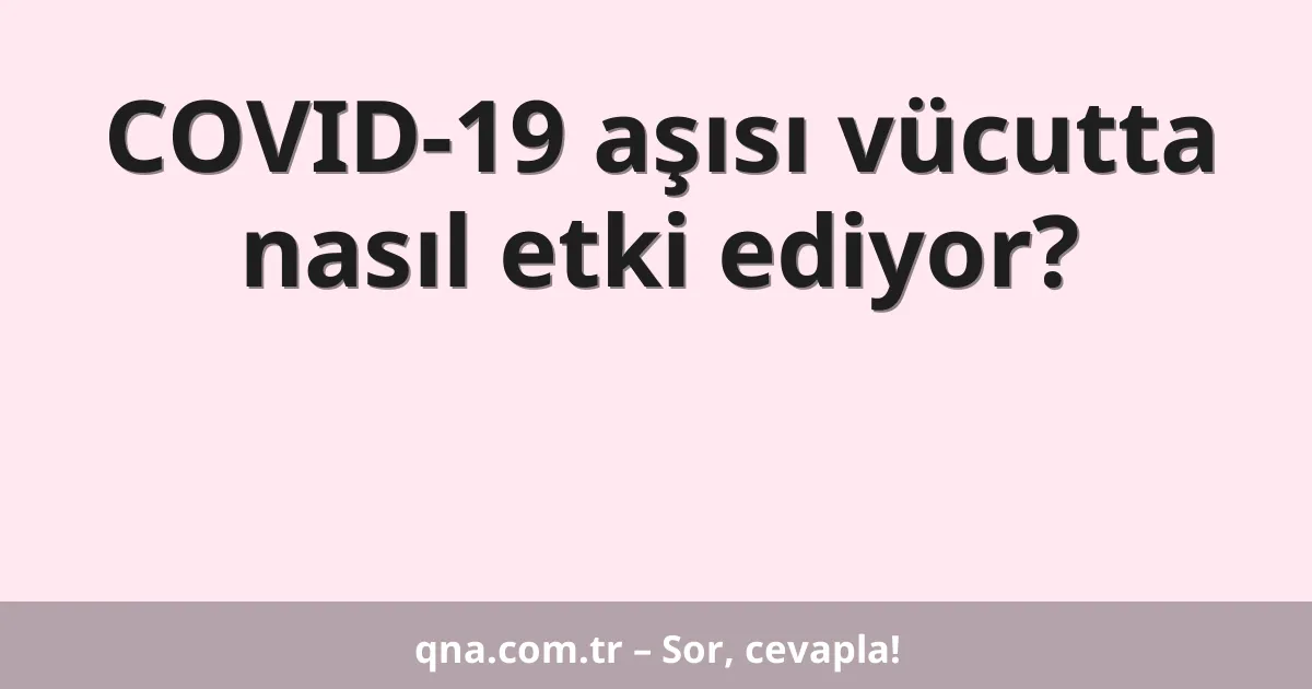 COVID-19 aşısı vücutta nasıl etki ediyor?