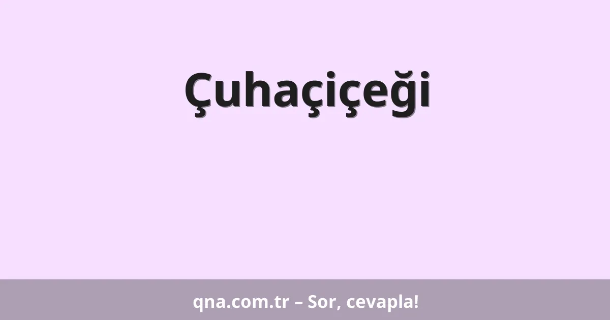 Çuhaçiçeği