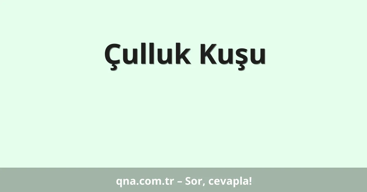Çulluk Kuşu