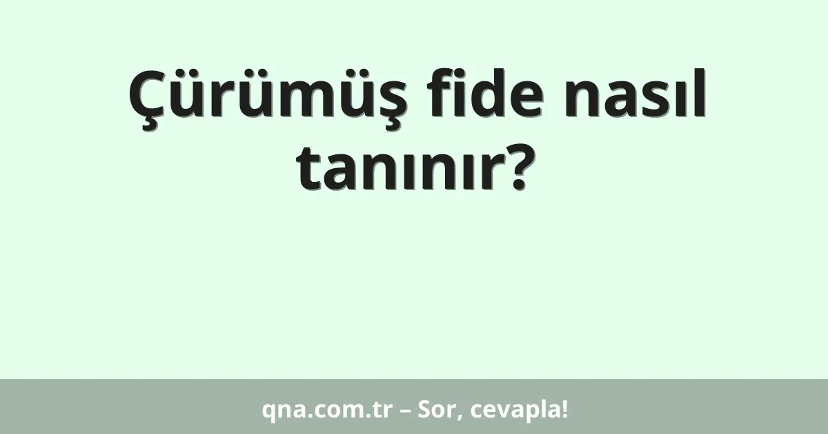 Çürümüş fide nasıl tanınır?