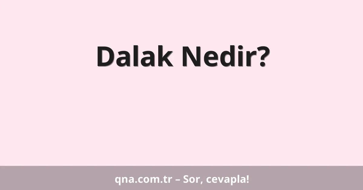 Dalak Nedir?