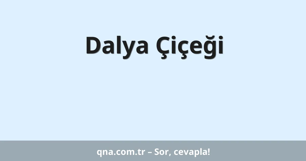 Dalya Çiçeği