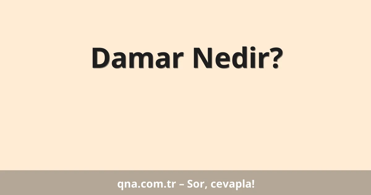 Damar Nedir?
