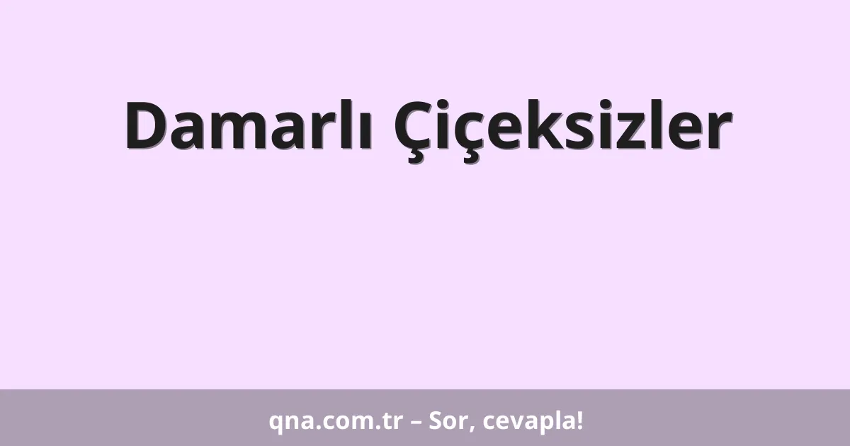 Damarlı Çiçeksizler