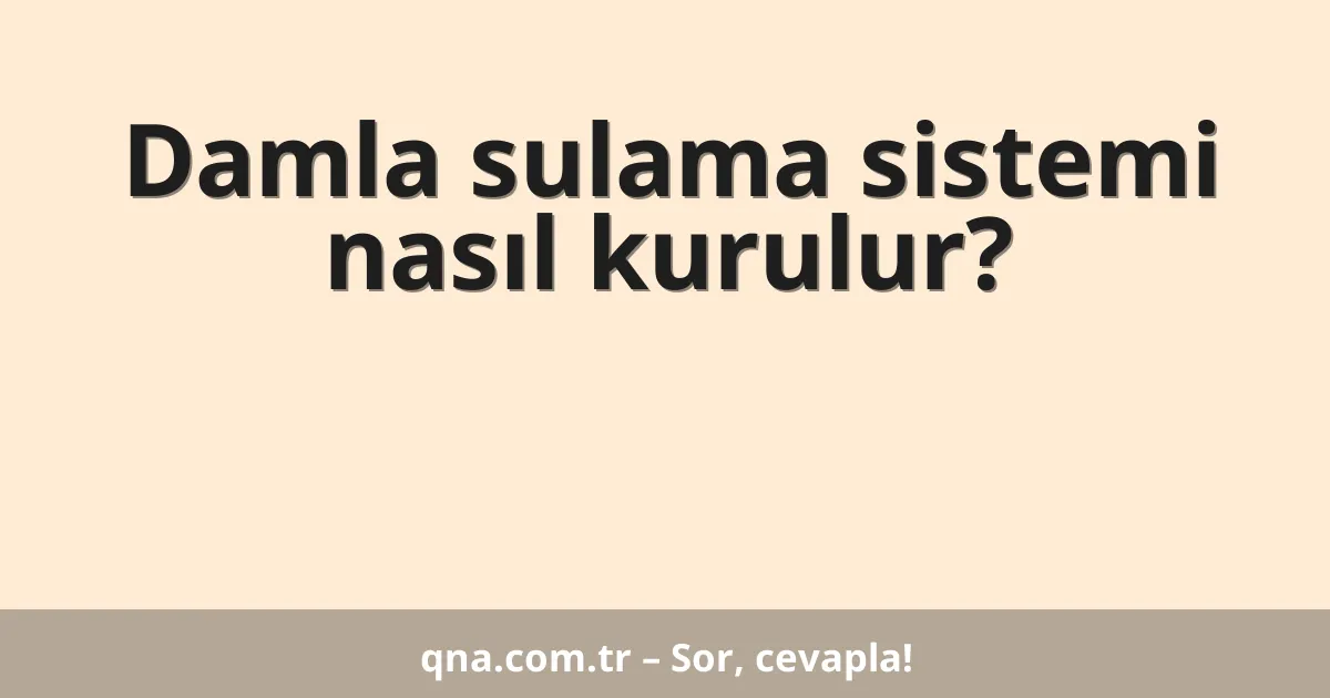 Damla sulama sistemi nasıl kurulur?
