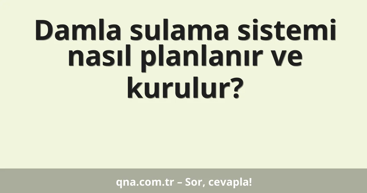 Damla sulama sistemi nasıl planlanır ve kurulur?