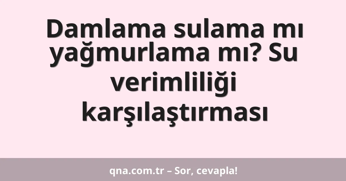 Damlama sulama mı yağmurlama mı? Su verimliliği karşılaştırması