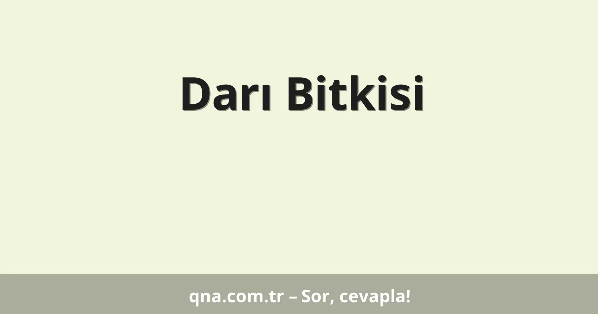 Darı Bitkisi