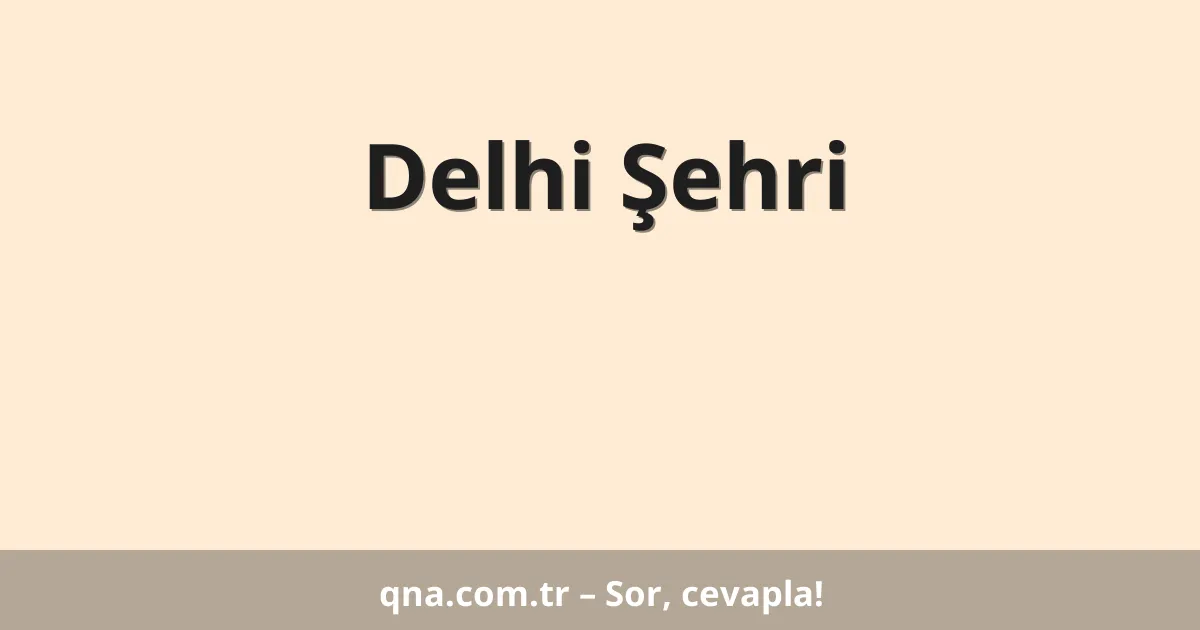 Delhi Şehri