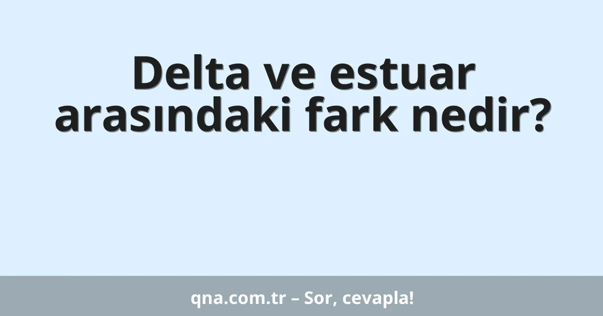 Delta ve estuar arasındaki fark nedir?