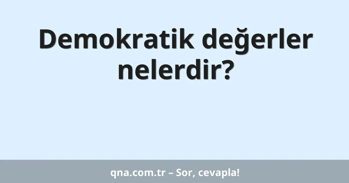 Demokratik değerler nelerdir?