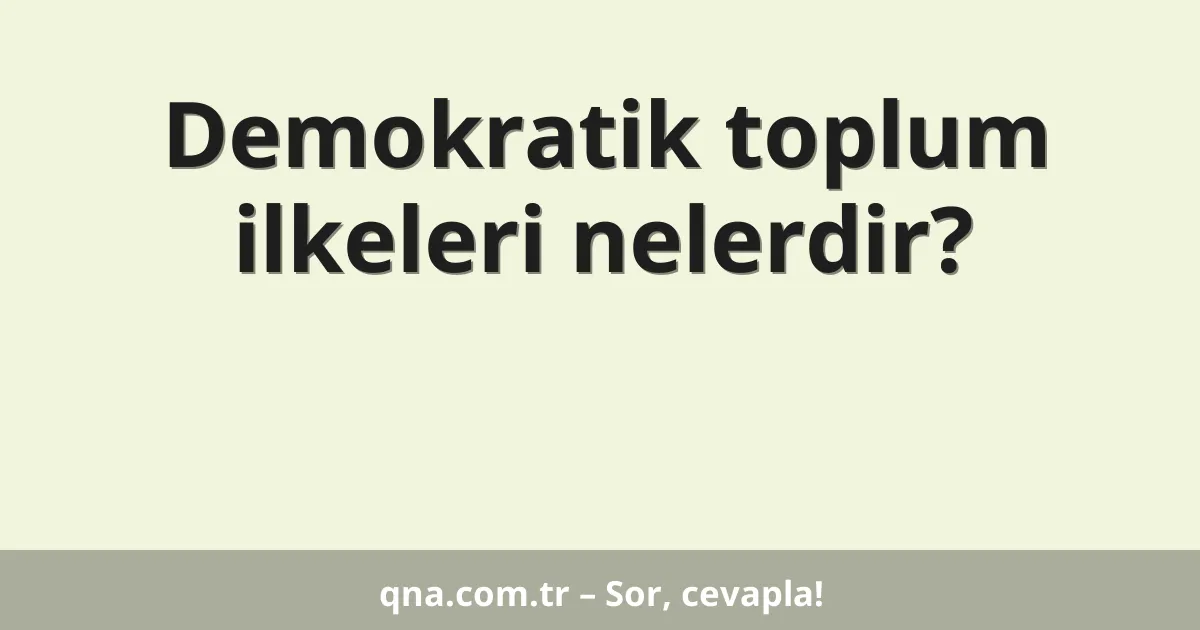 Demokratik toplum ilkeleri nelerdir?