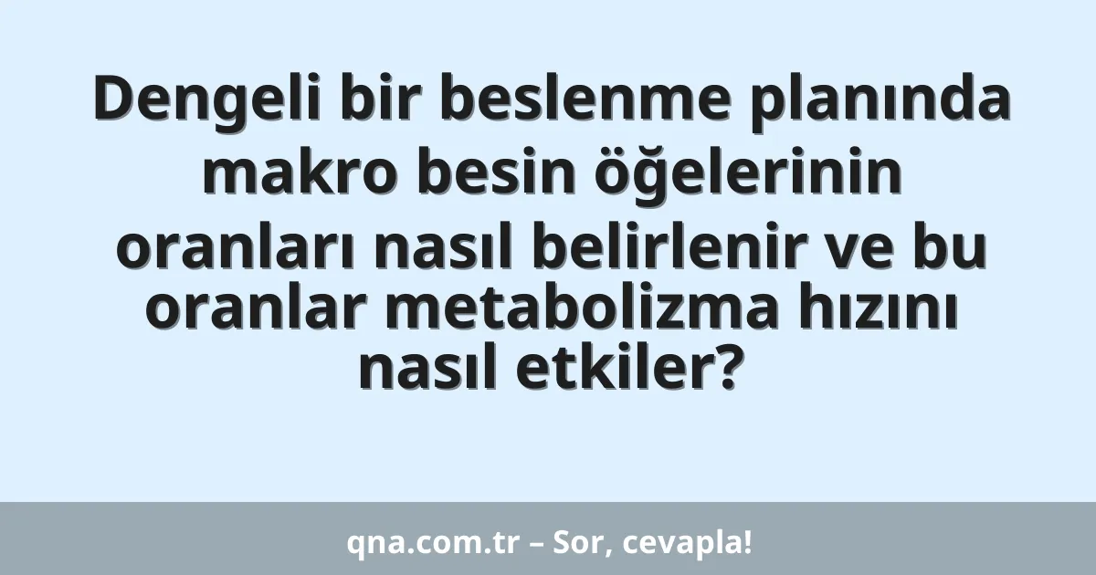 Dengeli bir beslenme planında makro besin öğelerinin oranları nasıl belirlenir ve bu oranlar metabolizma hızını nasıl etkiler?