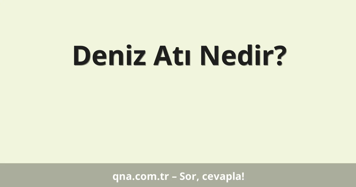 Deniz Atı Nedir?